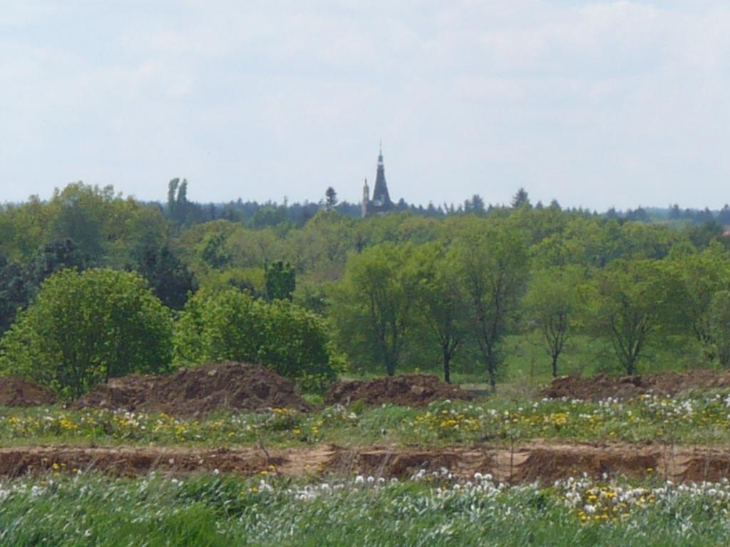 Rivendell Praag